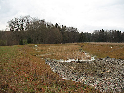 Bayerischer Wald